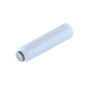 0.2 Micron PES Membrane Filter Elements for Sterile Food and Beverage Filtration