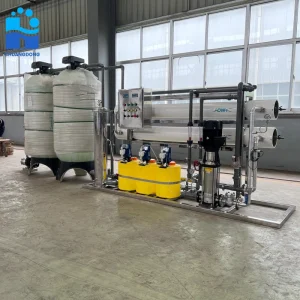 0.25-50 T/H EDI Ultrapure Water System Reverse Osmosis RO Water Treatment Plant for Drinking Water