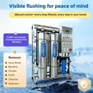 0.25 Ton/Hour Industrial Commercial Reverse Osmosis Filtration System for Drinking Water Purification