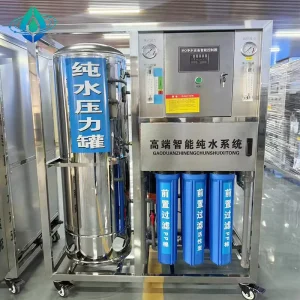 0.25T-1T Reverse Osmosis RO Water Treatment Plant with Motor Pump Membrane and PLC 500L/Hour 220V