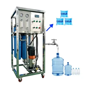 0.5 Tons Per Hour Multi Stage RO System Drinking Water Machine Plant with Three Pretreatment Tanks
