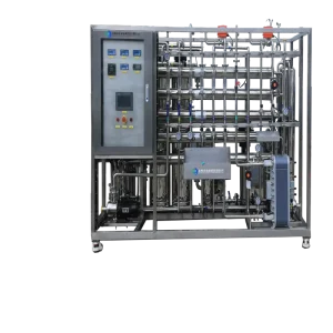 1 μS/cm EDI 1 TPH Water Treatment Machinery RO plus EDI PLC-Controlled Pump Ultrapure Water Purification System