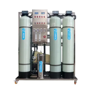 1 TPH Brackish Water RO System Industrial Reverse Osmosis Plant 1000 L/H Borehole Water Treatment Filter with Pressure Vessel