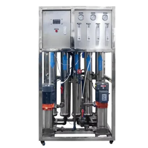 1.25TPH Double Stage RO Water System 1250LPH Reverse Osmosis Plant High Purity Low Conductivity Machine Factory Price CE