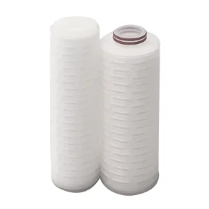 10 Inch 0.04 Micron PES Membrane Water Filter Endotoxin Filter PES Membrane Pleated Filter Cartridge with DOE/222/226