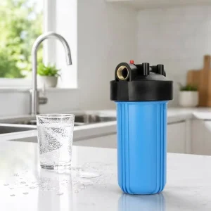 10 Inch Brass Port Whole Home Water Filter Housing High Flow Big Blue Sediment Water Purification System for House Filtration