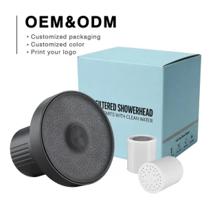10-Stage Overhead Shower Filter Head High Pressure Single Outlet Removing Chlorine Shower Filter for Hotel Hard Bathroom Use