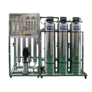 1000 L/H Industrial Reverse Osmosis Water Filter System for Calcium and Magnesium Ion Removal