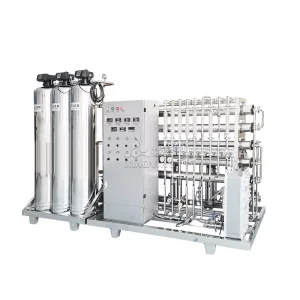 1000 L Two-Stage Reverse Osmosis Treatment with EDI RO Water Filtration Plant Commercial Water Purifier System