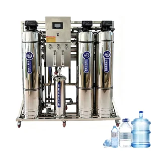 1000 LPH Automatic 304 Stainless Steel Industrial Reverse Osmosis Water Purification Plant