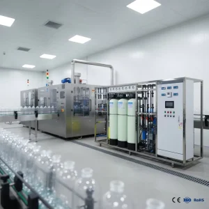 1000 LPH Industrial RO Plant for Bottled Water Production Line