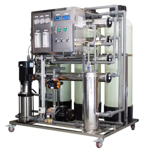 1000 LPH Industrial Reverse Osmosis Water Treatment Plant and Water Filter