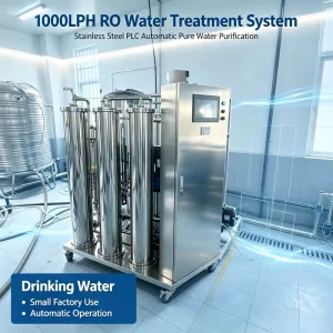 1000 LPH RO Water Treatment Machine Stainless Steel PLC Automatic Pure Water Purification System for Drinking Water