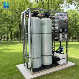 1000 LPH Reverse Osmosis Water Filter System Water Treatment Machinery Factory Water Purifier Drinking RO System