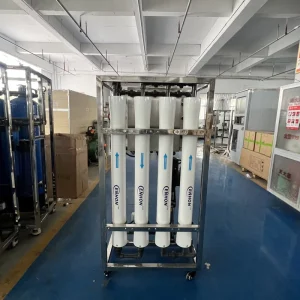 1000 LPH Reverse Osmosis Water Filter System with RO Membrane 220V for Water Treatment