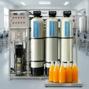 1000 T/H Two-Stage Reverse Osmosis Water Treatment Equipment, Automatic Industrial Water Purification System