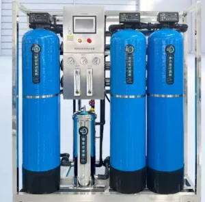 1000L/H Fiberglass Reverse Osmosis Water Treatment System for Food Factory Use