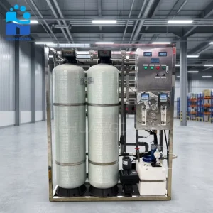 1000L/H Reverse Osmosis System Water Treatment Plant for Well Water Purification and Drinking Water Supply