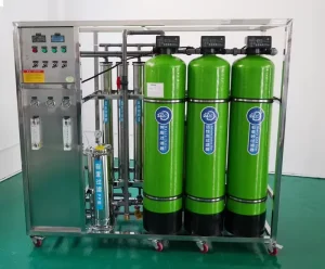 1000L/H Water Treatment Machine Water Purification System Direct Drinking Water Equipment