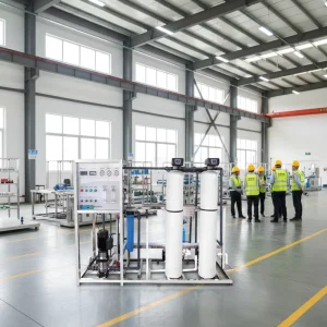 1000L Hour RO Purifier Purification Plant Reverse Osmosis System Water Treatment Machinery Automatic Control Pump 1 Year