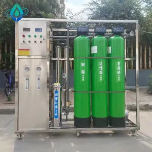 1000L Hour Small Water Purification System RO Filtration Plant Reverse Osmosis Drinking Water Treatment Machine Pump Motor Year