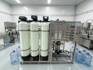 1000LPH Commercial Water Filter System for Bottled Drinking Water
