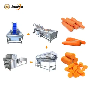 1000kg/H Carrot Cleaning Machine Conveyor Vegetable Brush Washer Baby Carrot Segmenter Processing Line
