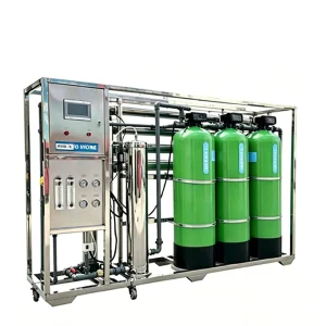 1000lph 2000lph 3000lph Pure Water Treatment Machine Large Water Flow Water Treatment System for Filter Salt Content