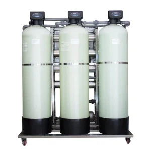 1000lph Ro Industrial Reverse Osmosis Plant Automatic Water Treatment Machinery Well Water Filter System