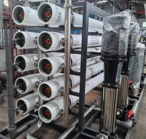 10T H Reverse Osmosis Water Purification System with PLC Pump & Gearbox