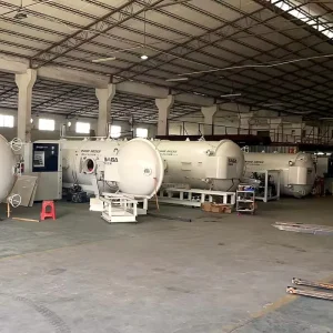 13 m³ High-Frequency Vacuum Wood Dryer