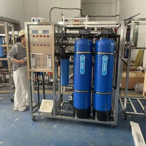 1T/H Industrial RO Machine, 1000 LPH Water Treatment Plant with Quartz Sand, Carbon, Resin Pretreatment and UV