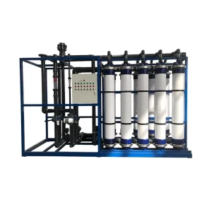 20000 L/H Ultrafiltration UF Membrane Water Treatment System with Pump PLC Motor 220V