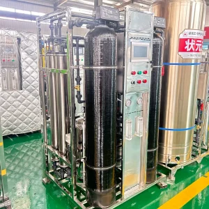 2000L/Hour RO Water Desalination System with PLC and Pump for Drinking Water Plant