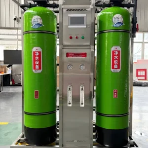 2000LPH Automatic Backwash Reverse Osmosis RO System for Beverage and Food Processing