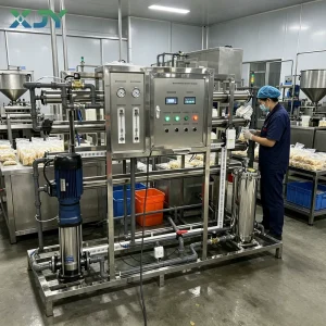 2000LPH Commercial Reverse Osmosis Water Treatment Plant for Drinking Water