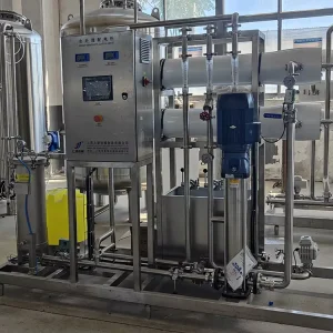 2000LPH Purified Drinking Water RO Treatment Machinery 2T RO Desalination System for Water Production