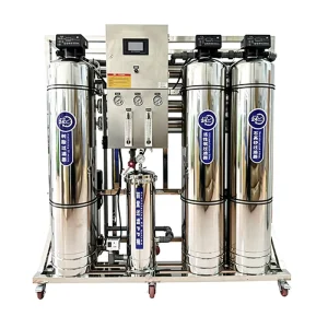 250 500 1000 LPH 304 316 Stainless Steel Reverse Osmosis Water Treatment Machinery and Filter System