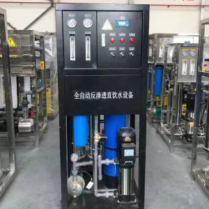 250-500 L Small Commercial Reverse Osmosis Water Filter System for Direct Drinking