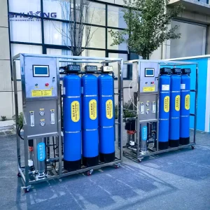 250 500LPH Fully Automatic Well Water RO Filter System Hardness Removal Reverse Osmosis Water Filter System