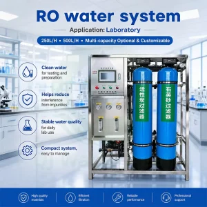 250L/H 500L/H RO System for Borehole and Underground Well Water Treatment Desalination Filter Plant
