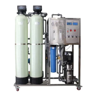 250L RO System Water Treatment Seawater Desalination Machine Plant