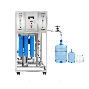 250LPH/1000LPH Automatic Reverse Osmosis Water Treatment System with Filter and Pump