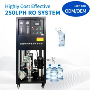 250LPH 500LPH Small Factory Drinking Water Treatment Equipment Reverse Osmosis Machinery RO Filter