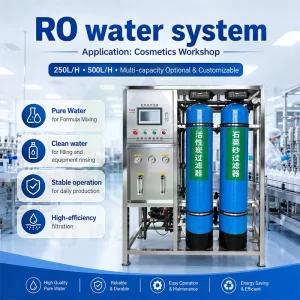 250LPH RO Water Treatment Machine for Cosmetic Food and Beverage Production Stainless Steel Frame Purifier
