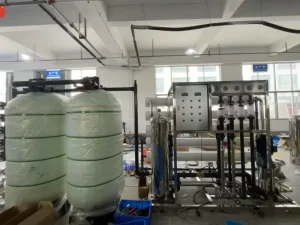 3 Ton/Hour Industrial RO Reverse Osmosis Water Purifier with SS304 Skid-Mounted Desalination Plant