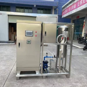 30 g/h Ozone Water Machine with PLC Control for Mineral Water Treatment