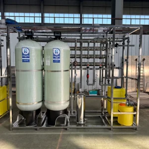 3000 LPH Stainless Steel Anti-Corrosion Water Purification System Reverse Osmosis Machine for Drinking Water Projects