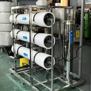 3000L/H Reverse Osmosis Mineral Water Purification Machine Pure Water Treatment Equipment with Pump PLC for Water Storage Plant