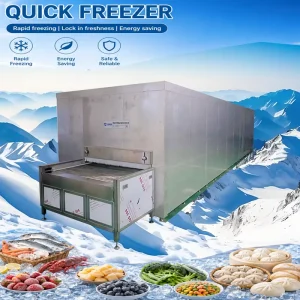 304 Stainless Steel IQF Freezer Machine Food-Grade Tunnel System for Continuous Processing
